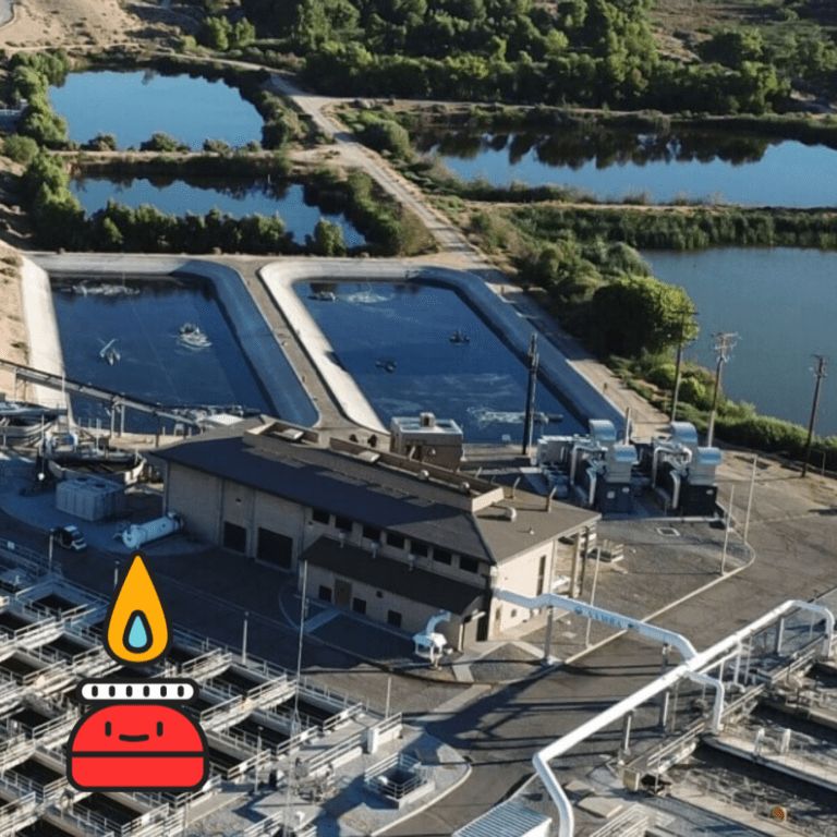 renewable natural gas