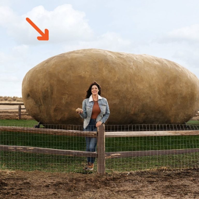Airbnb potato house