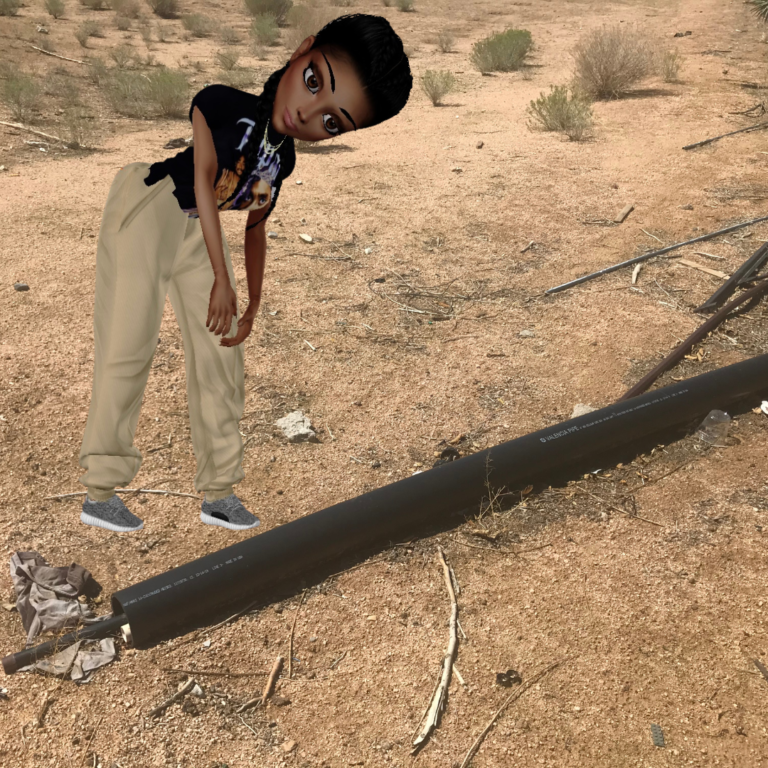 Apple Valley hosting community cleanup day