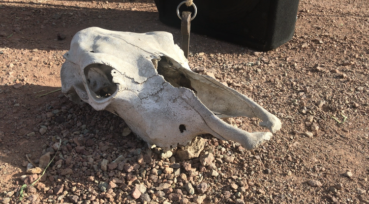 Calico Days bringing back the Old West this weekend