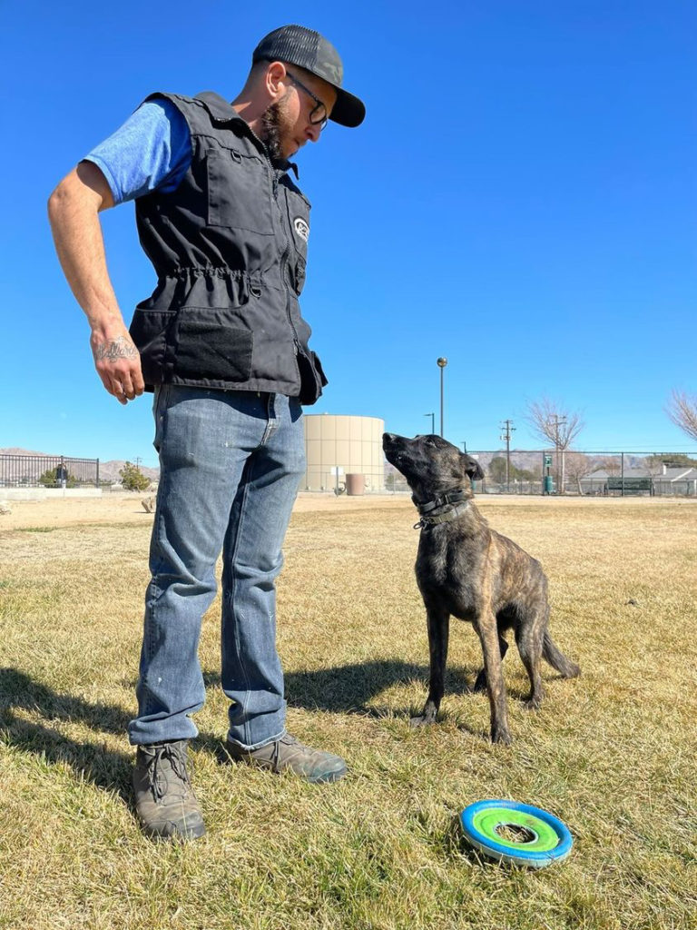 Gallardo's K9s helping families give structure to their dogs