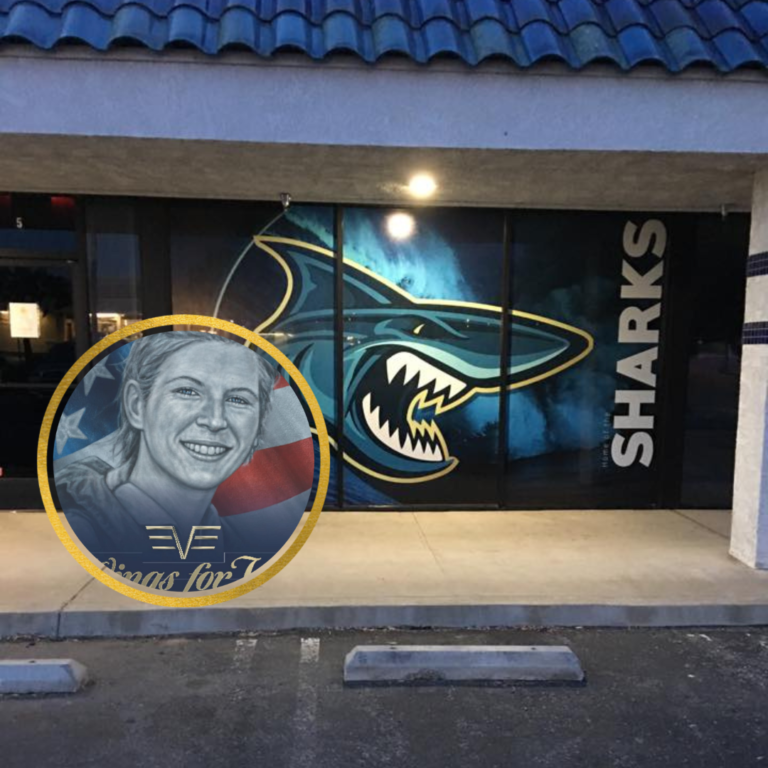 Wings for Val: Memoir of a Young Female Pilot