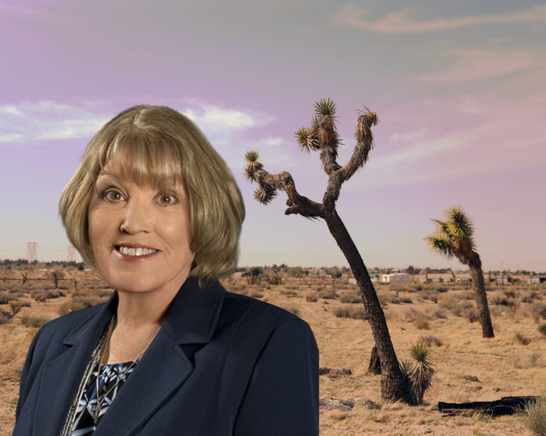 Gov. Newsom re-appoints Mojave Water Agency Board Treasurer Dr. Kimberly Cox to state board