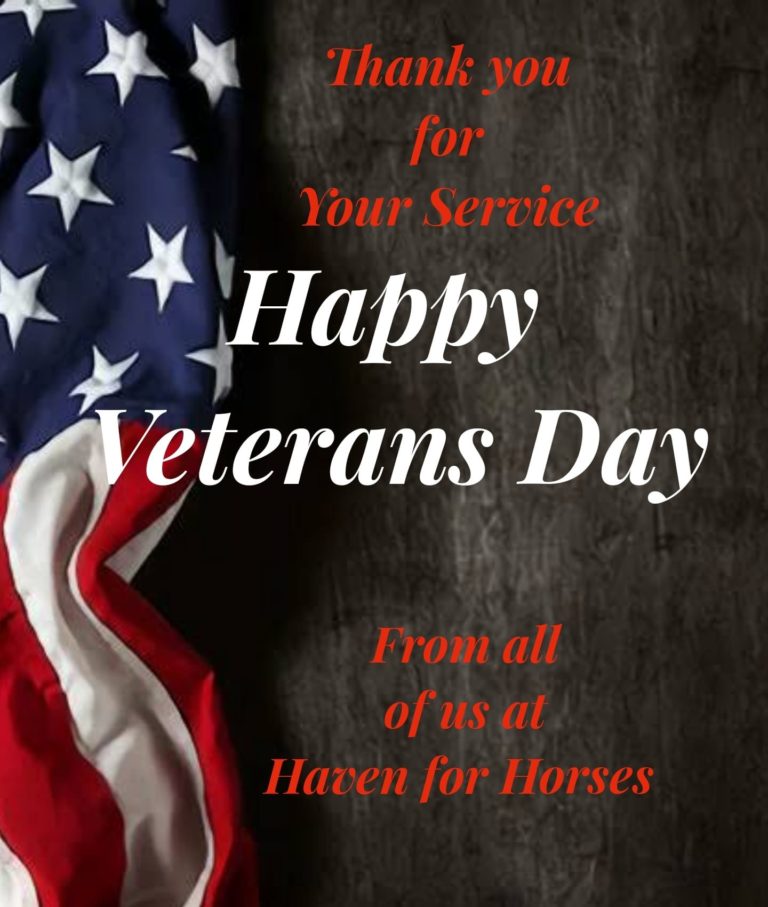 Haven for Horses veterans day