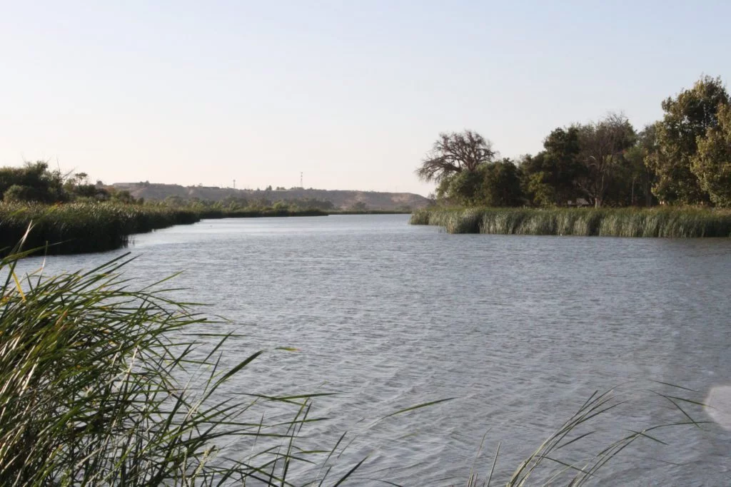 Mojave Narrows Lake