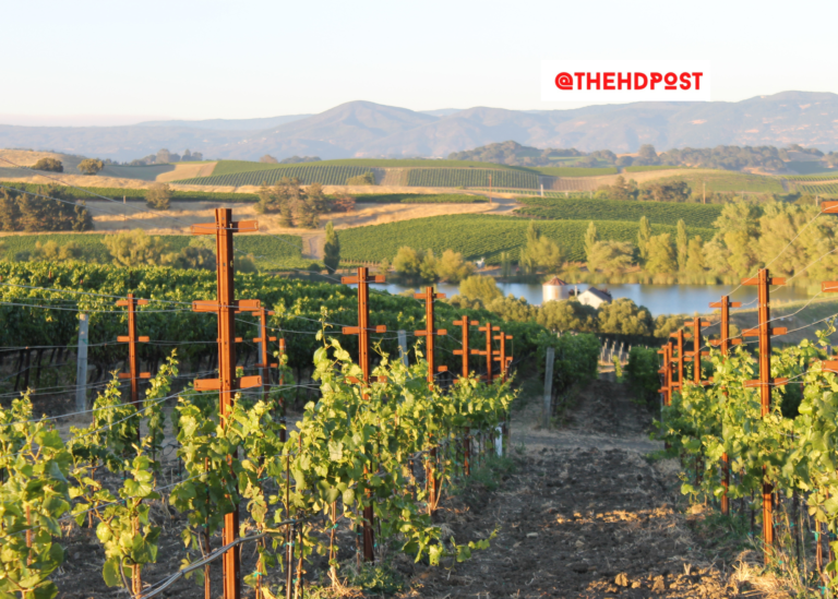 CA bill that could ban foreign governments from buying farmland passes Agriculture Committee