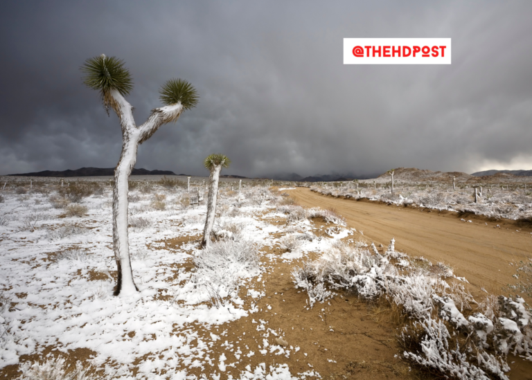 FEMA Disaster Assistance grants up to $36,000 available for San Bernardino County