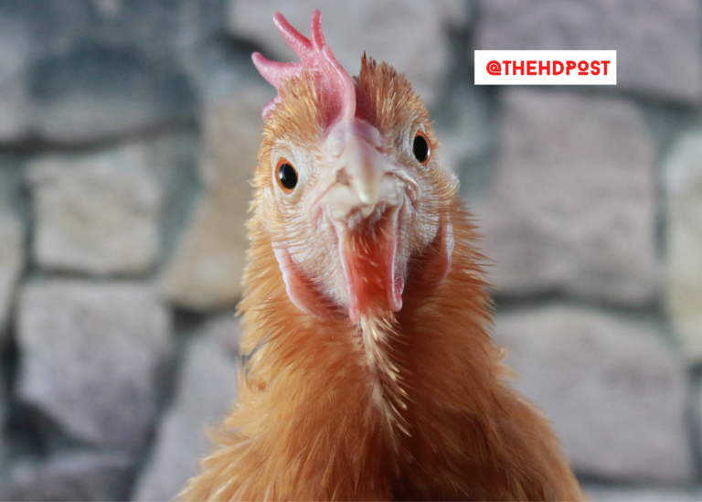 FACT offering two free courses for beginning farmers