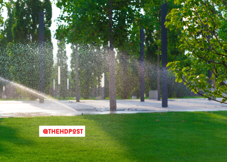 Bill to phase out watering non-functional grass on commercial and public property passes California Assembly