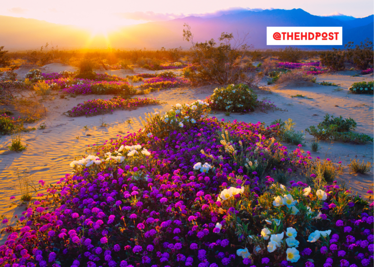 Report says $90,399 annually is needed for Californians to live comfortably in retirement