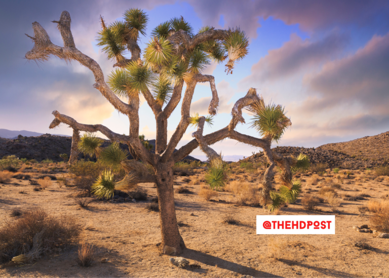 VVC hosting Economic and Real Estate Symposium — Mayor’s Panel, Silverwood and BNSF updates