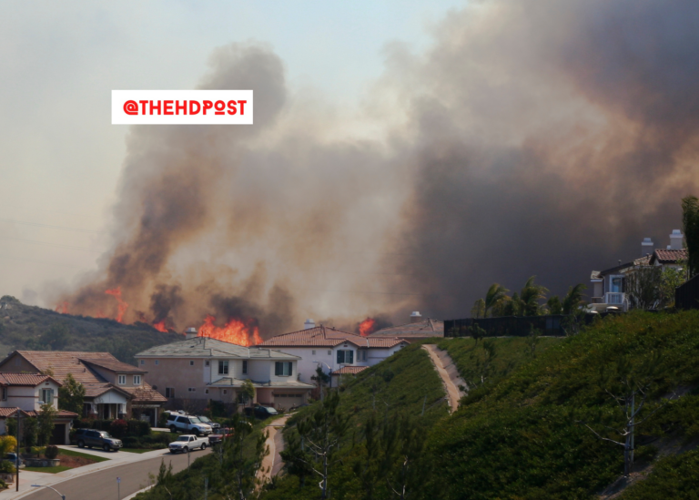 Class action seeking to represent 350,000 says FAIR misrepresented fire insurance to maximize profit