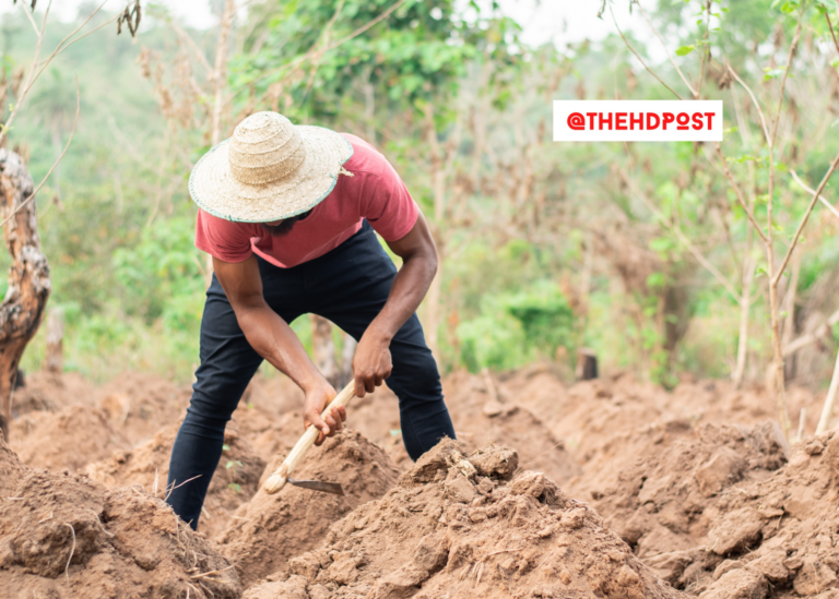 California takes 2nd place in Best States to Work 