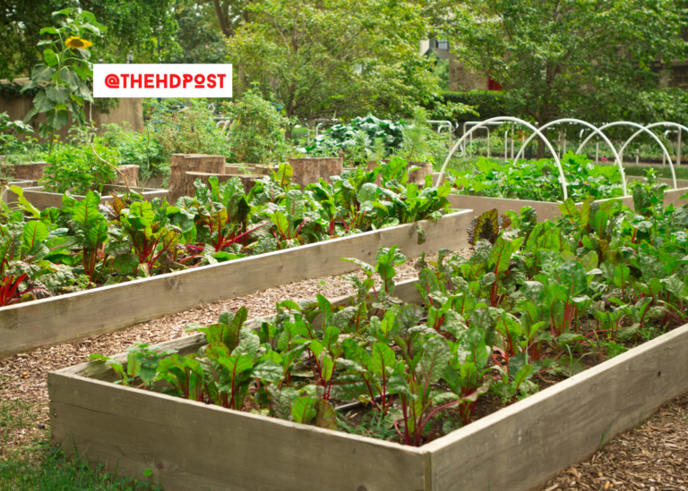 California awards Encore High School $200,000 grant for Farm to School program