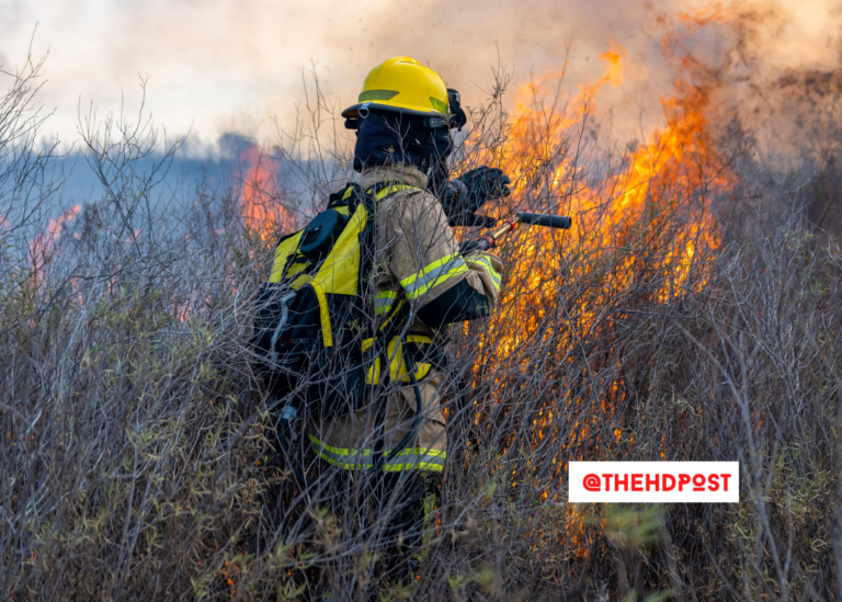 CA firefighters union says Trump should be ashamed of threatening to withhold federal aid