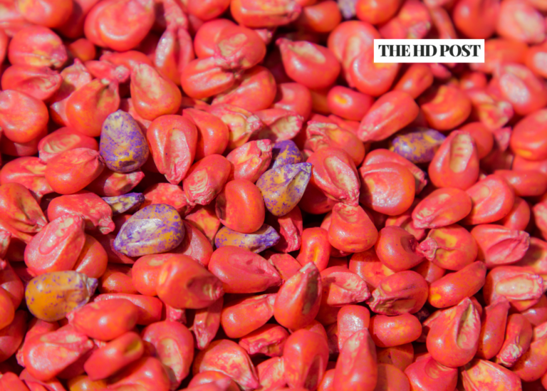 Environmental groups reach agreement with CA to regulate pesticide-treated seeds