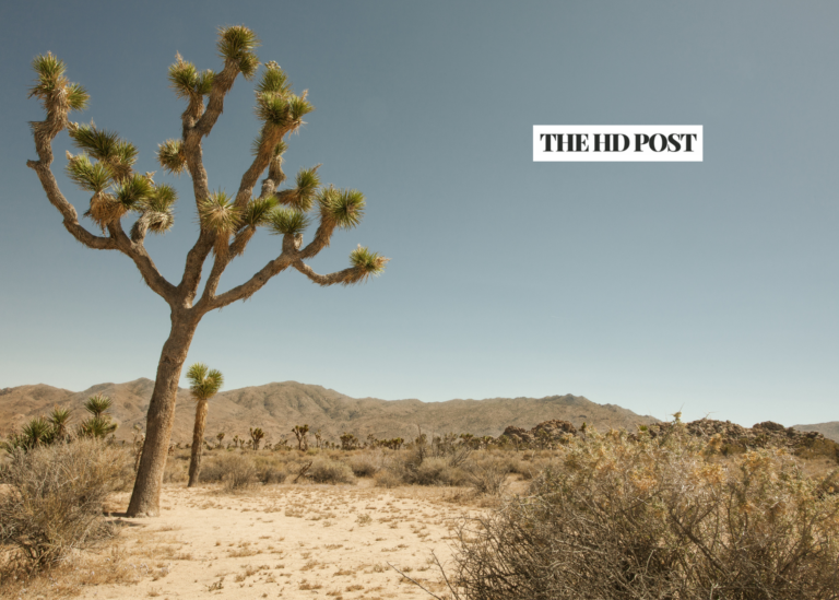 Amazon purchases 200 acres in SoCal for $162 Million to build warehouse