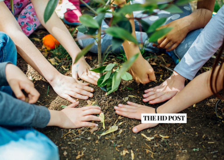 Victorville Library giving away free tree for Earth Day