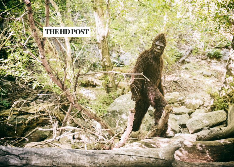 CA lawmaker introduces bill to recognize Bigfoot as official state cryptid