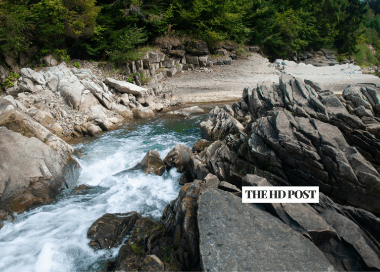 CA Water Board launching new water rights reporting system this summer