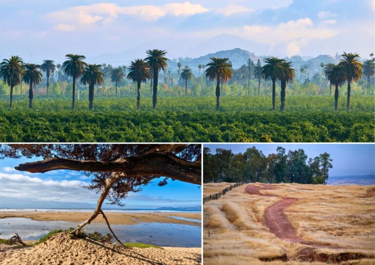 Veterans and military members get free Memorial Day admission to CA State Parks