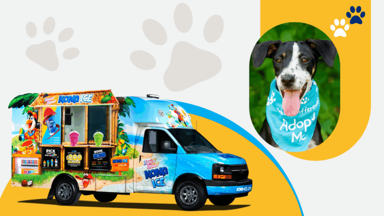 San Bernardino County Animal Care hosting adoption event for California Adopt-A-Pet Day