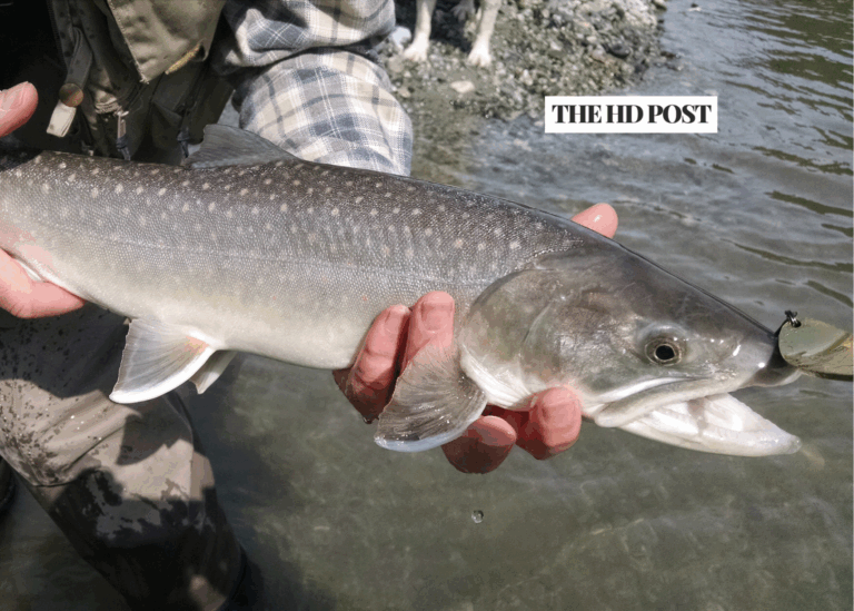 California offering free fishing this Saturday