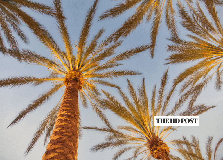 In-N-Out president leaving California for Tennessee with family