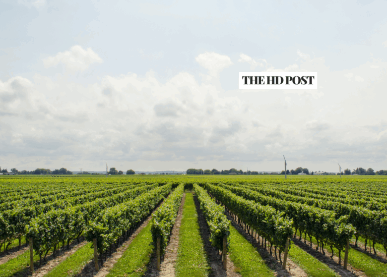 PlumpJack taps Breakthru Beverage for CA distribution as RNDC exits state