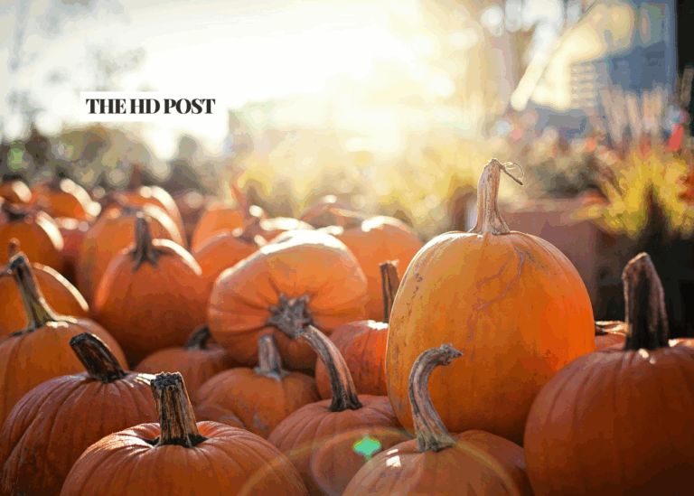 Harvest Festival and Haunted Hayride Returns to Mojave Narrows