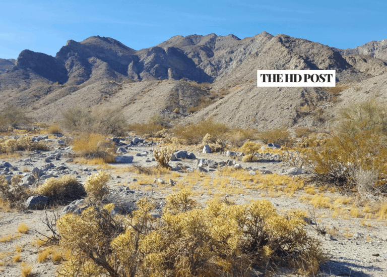 California mayor faces more than 7 years in prison over conflict-of-interest, perjury charges