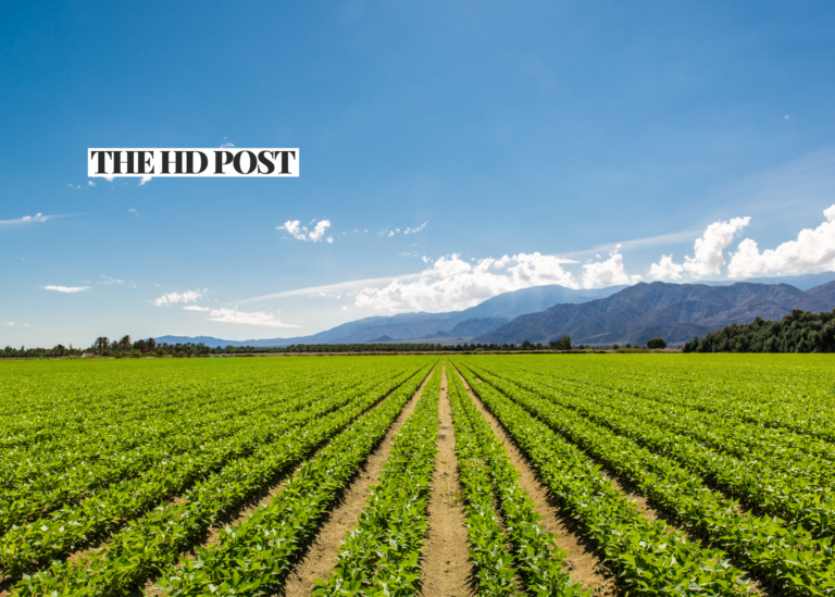 California farming tycoon arrested in Arizona over estranged wife’s shooting death