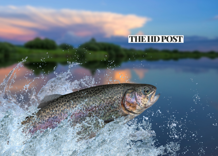 Win $1,000 at the Trout Derby in Victorville this weekend