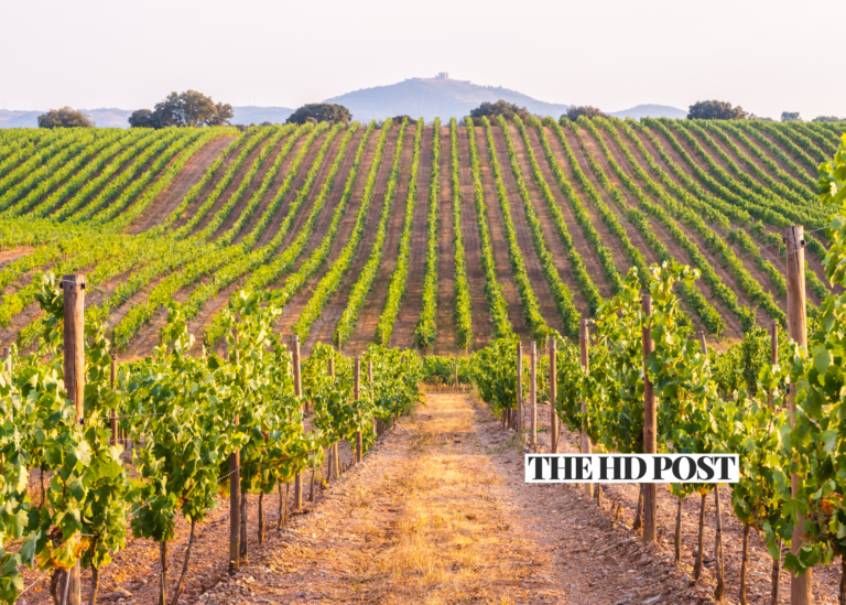 California winery to pay $1.49 Million in EEOC sexual harassment case
